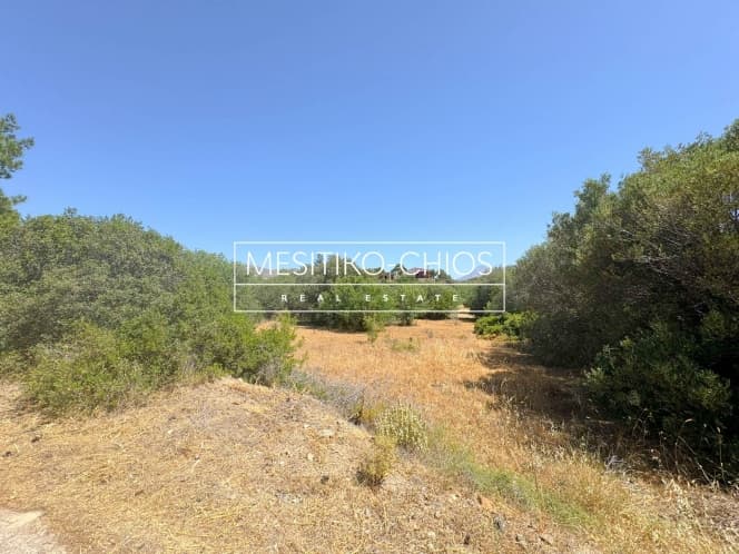 Οικόπεδο στην Αμάνη, Χίος — Φωτογραφία 5 από 15