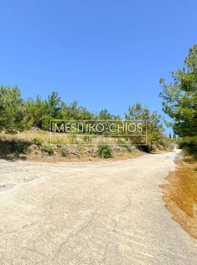 Οικόπεδο στην Αμάνη, Χίος — Φωτογραφία 13 από 15