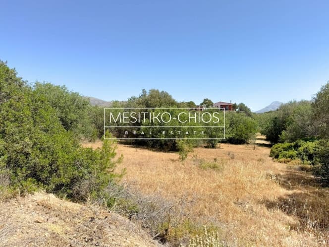 Οικόπεδο στην Αμάνη, Χίος — Φωτογραφία 3 από 15