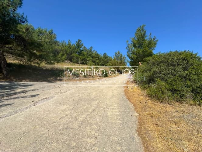 Οικόπεδο στην Αμάνη, Χίος — Φωτογραφία 14 από 15