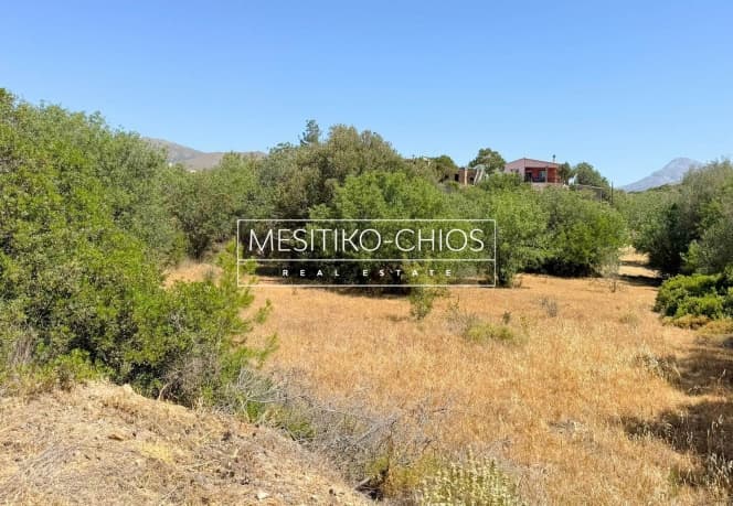Οικόπεδο στην Αμάνη, Χίος — Φωτογραφία 6 από 15