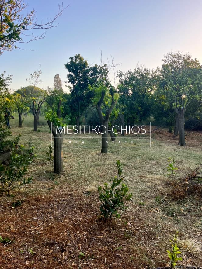 Οικόπεδο στην Άγιος Μηνάς, Χίος — Φωτογραφία 3 από 25