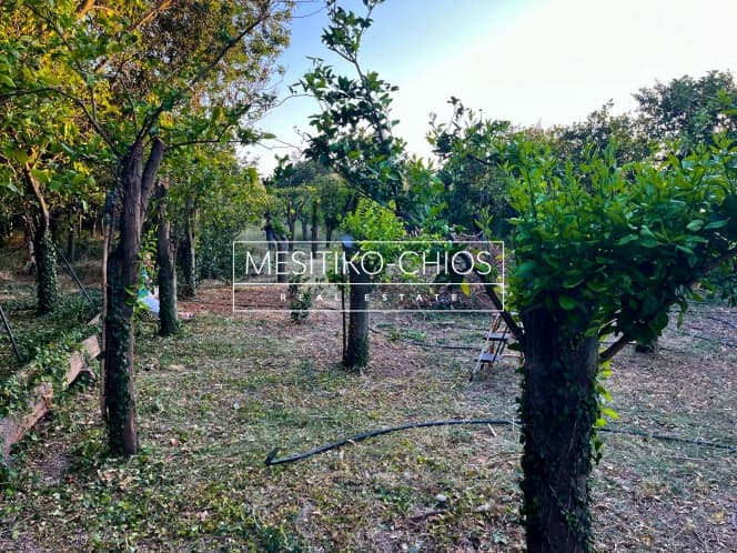 Οικόπεδο στην Άγιος Μηνάς, Χίος — Φωτογραφία 18 από 25