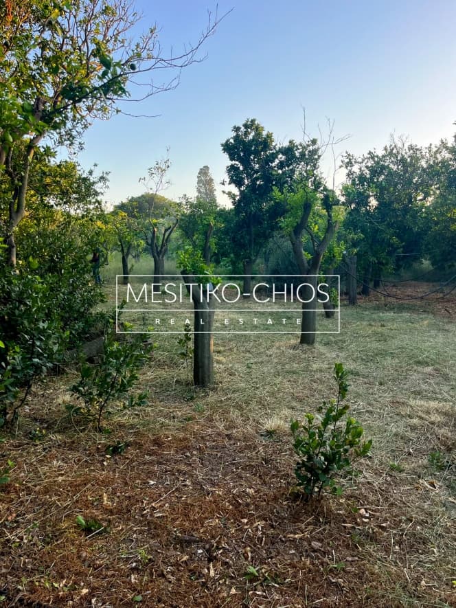 Οικόπεδο στην Άγιος Μηνάς, Χίος — Φωτογραφία 7 από 25
