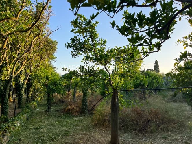 Οικόπεδο στην Άγιος Μηνάς, Χίος — Φωτογραφία 17 από 25