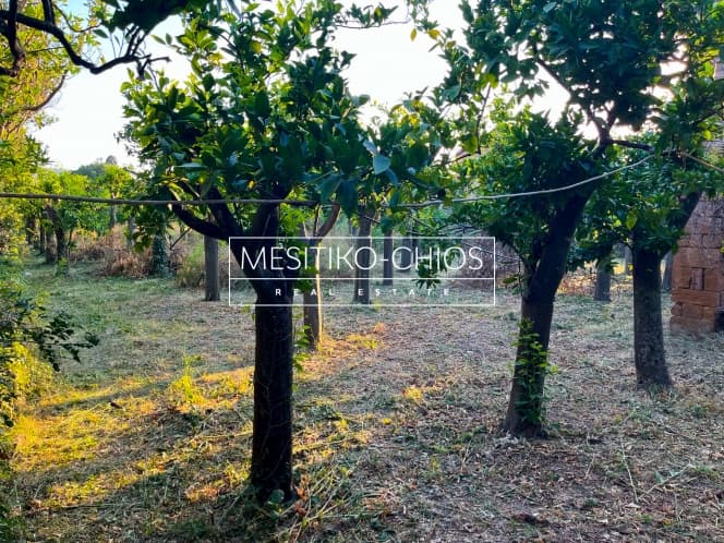 Οικόπεδο στην Άγιος Μηνάς, Χίος — Φωτογραφία 19 από 25