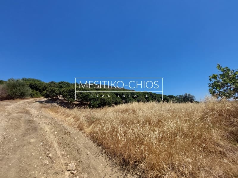 Οικόπεδο στην Ιωνία, Χίος — Φωτογραφία 20 από 25