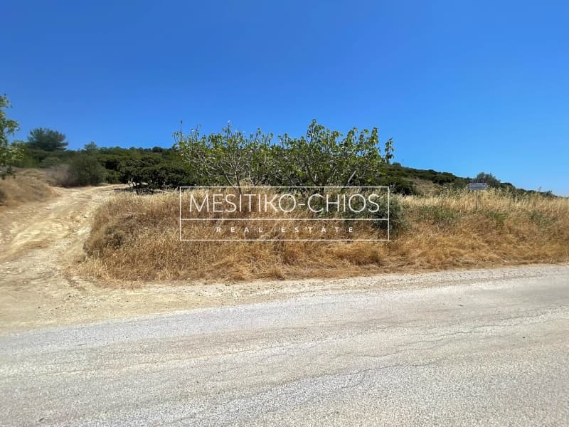Οικόπεδο στην Ιωνία, Χίος — Φωτογραφία 24 από 25