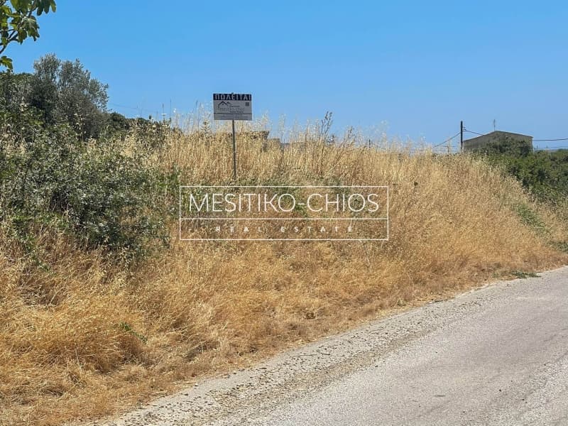 Οικόπεδο στην Ιωνία, Χίος — Φωτογραφία 22 από 25