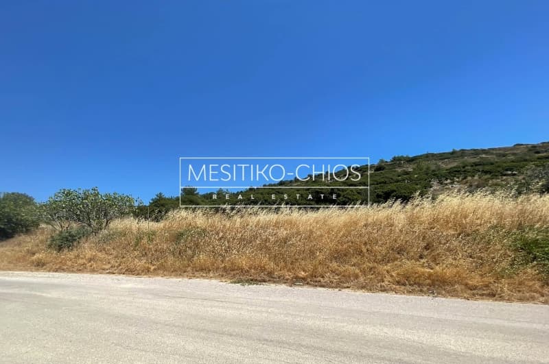 Οικόπεδο στην Ιωνία, Χίος — Φωτογραφία 25 από 25