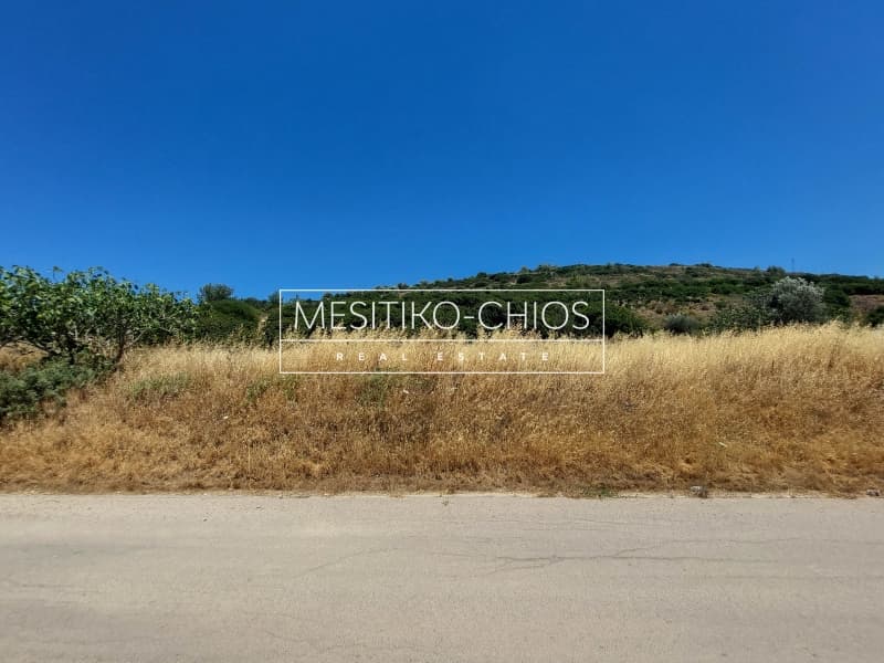 Οικόπεδο στην Ιωνία, Χίος — Φωτογραφία 14 από 25