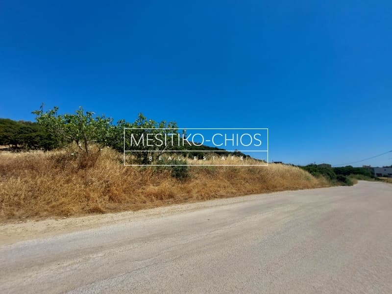Οικόπεδο στην Ιωνία, Χίος — Φωτογραφία 12 από 25