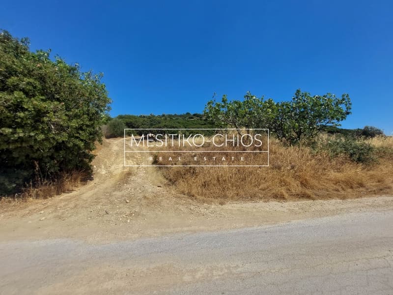 Οικόπεδο στην Ιωνία, Χίος — Φωτογραφία 18 από 25