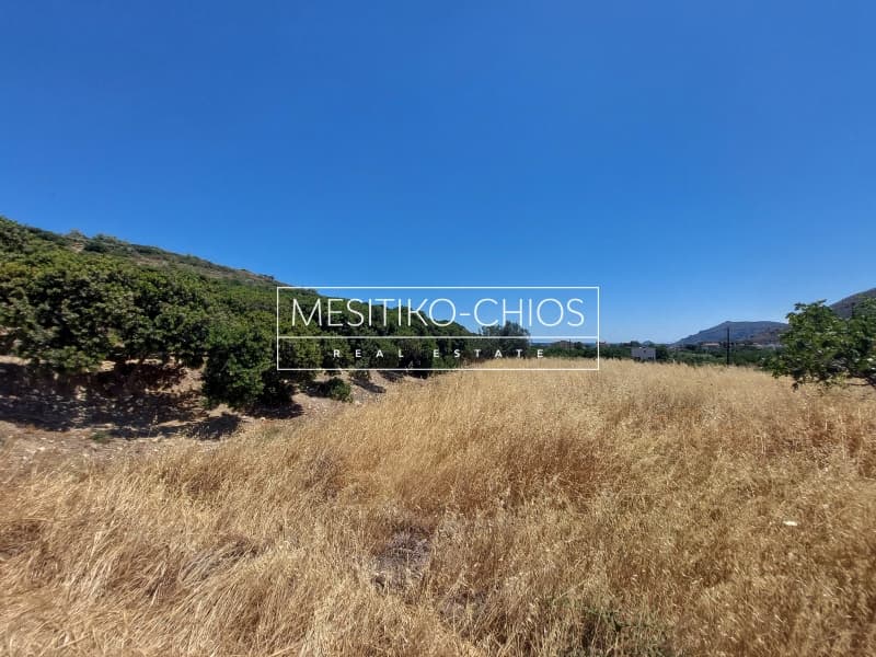 Οικόπεδο στην Ιωνία, Χίος — Φωτογραφία 3 από 25