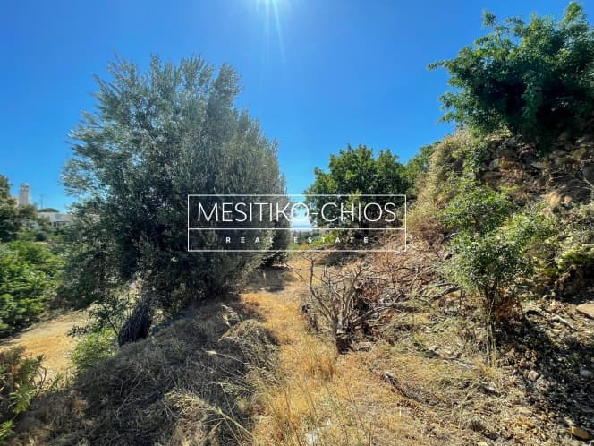 Οικόπεδο στην Πόλη Χίου, Χίος — Φωτογραφία 6 από 14