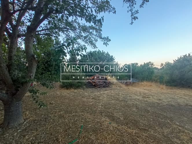 Οικόπεδο στην Άγιος Μηνάς, Χίος — Φωτογραφία 6 από 23