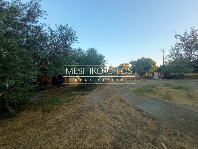 Οικόπεδο στην Άγιος Μηνάς, Χίος — Φωτογραφία 20 από 23