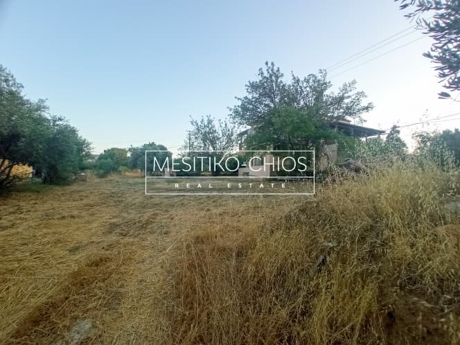 Οικόπεδο στην Άγιος Μηνάς, Χίος — Φωτογραφία 11 από 23