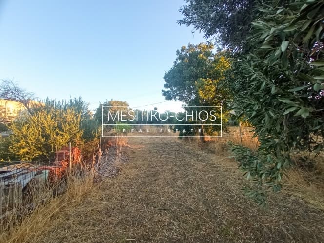 Οικόπεδο στην Άγιος Μηνάς, Χίος — Φωτογραφία 17 από 23