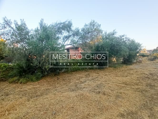 Οικόπεδο στην Άγιος Μηνάς, Χίος — Φωτογραφία 8 από 23