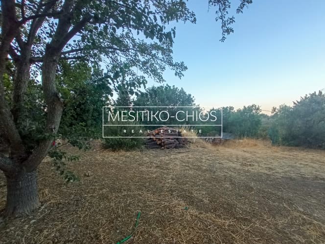 Οικόπεδο στην Άγιος Μηνάς, Χίος — Φωτογραφία 13 από 23