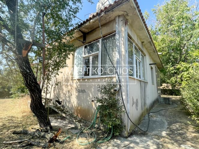 House in Agios Minas, Chios — Photo 10 of 26