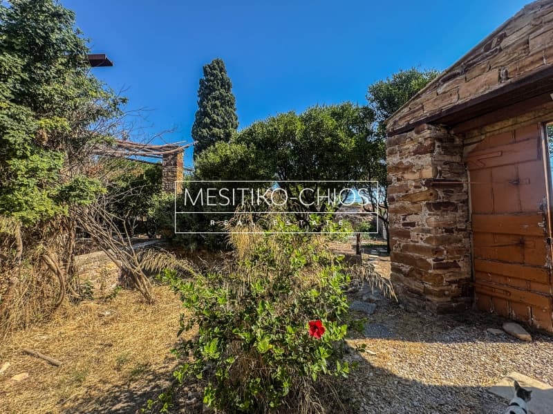 House in Agios Minas, Chios — Photo 21 of 27