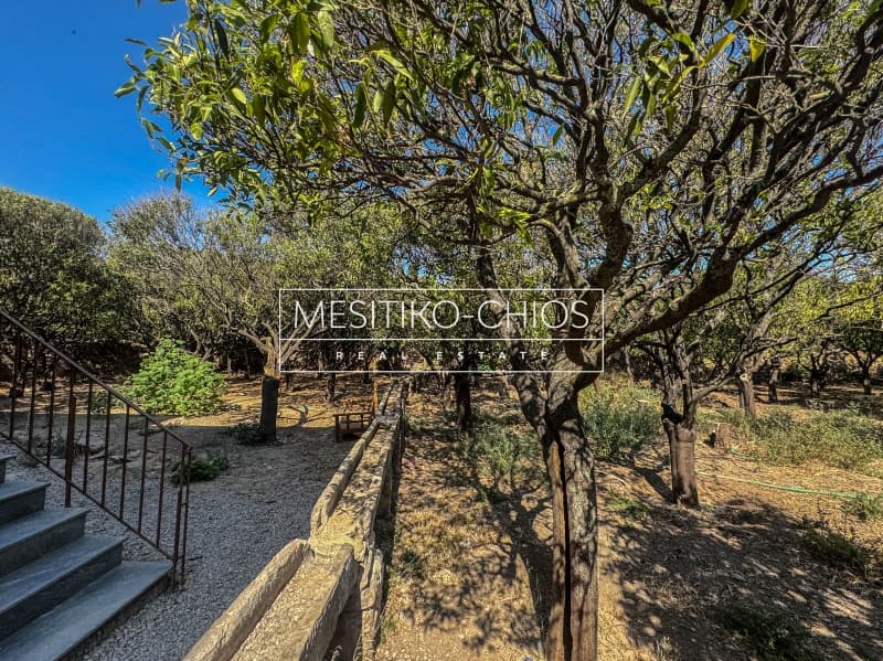 House in Agios Minas, Chios — Photo 18 of 27