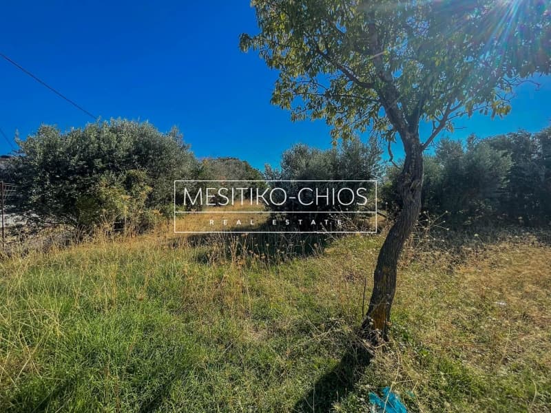 Οικόπεδο στην Πόλη Χίου, Χίος — Φωτογραφία 13 από 25