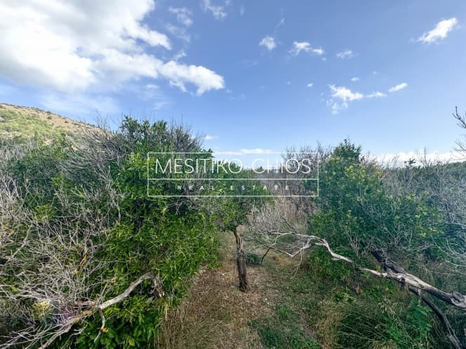 Building Plot in Kardamila, Oinousses — Photo 15 of 25