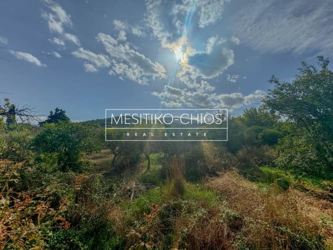 Building Plot in Kardamila, Oinousses — Photo 9 of 25