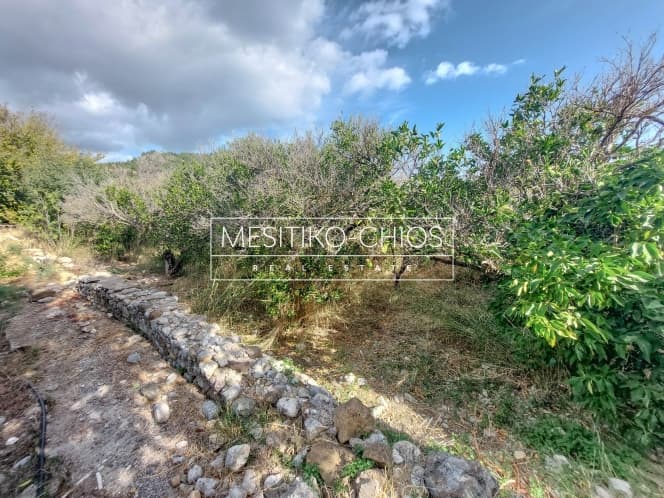 Building Plot in Kardamila, Oinousses — Photo 19 of 25