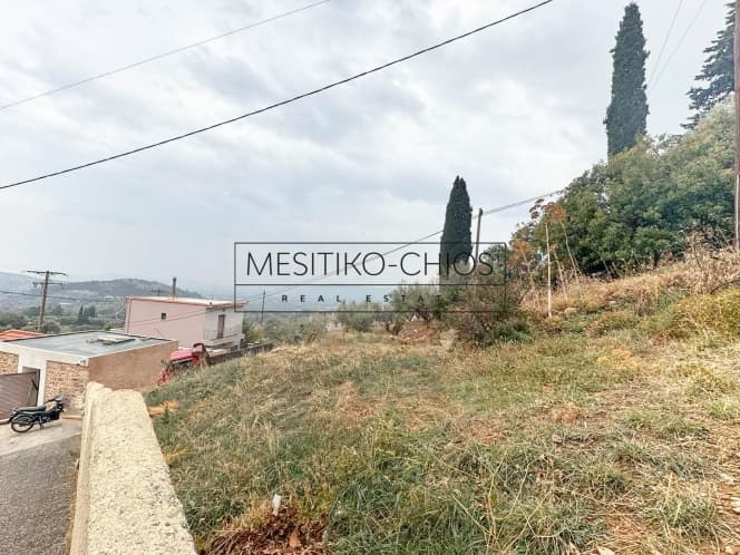 Οικόπεδο στην Καμποχώρια, Χίος — Φωτογραφία 10 από 25