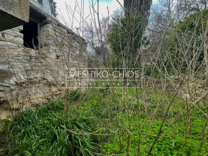 House in Agios Minas, Chios — Photo 23 of 25