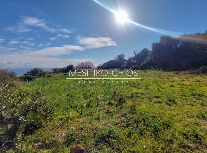 Αγροτεμάχιο στην Άγιος Μηνάς, Χίος — Φωτογραφία 23 από 25