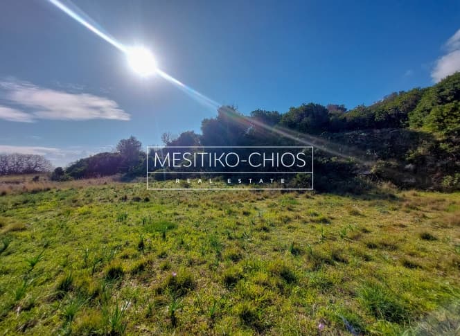 Αγροτεμάχιο στην Άγιος Μηνάς, Χίος — Φωτογραφία 22 από 25