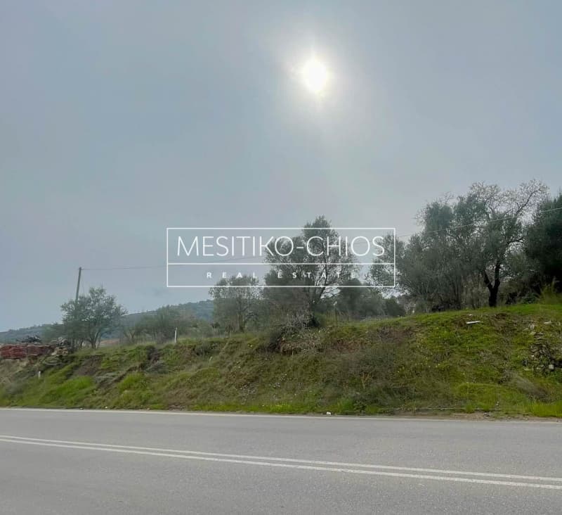 Οικόπεδο στην Άγιος Μηνάς, Χίος — Φωτογραφία 9 από 25
