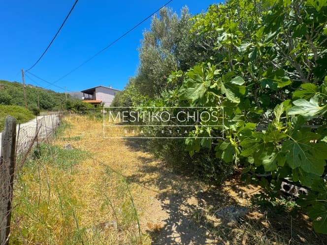 Οικόπεδο στην Αμάνη, Χίος — Φωτογραφία 5 από 8