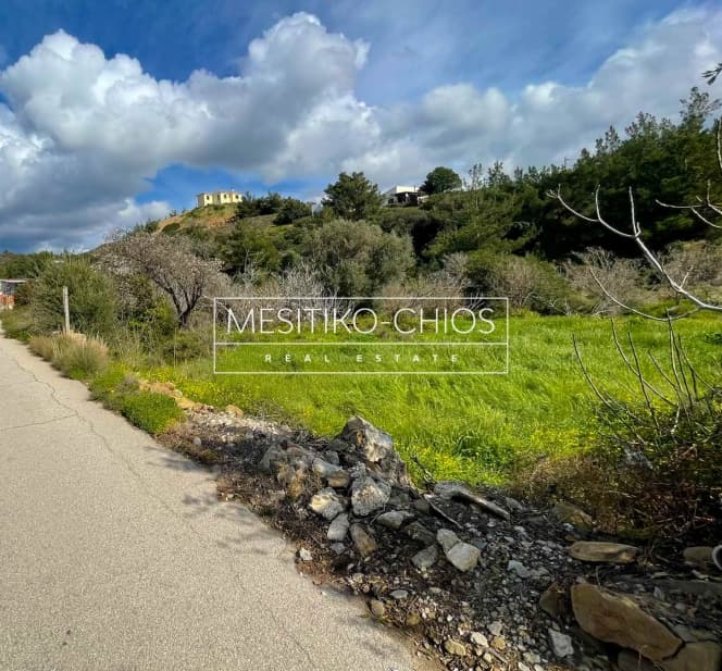 Οικόπεδο στην Αμάνη, Χίος — Φωτογραφία 3 από 7
