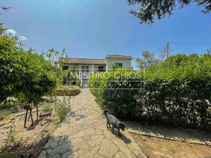 House in Agios Minas, Chios — Photo 25 of 25