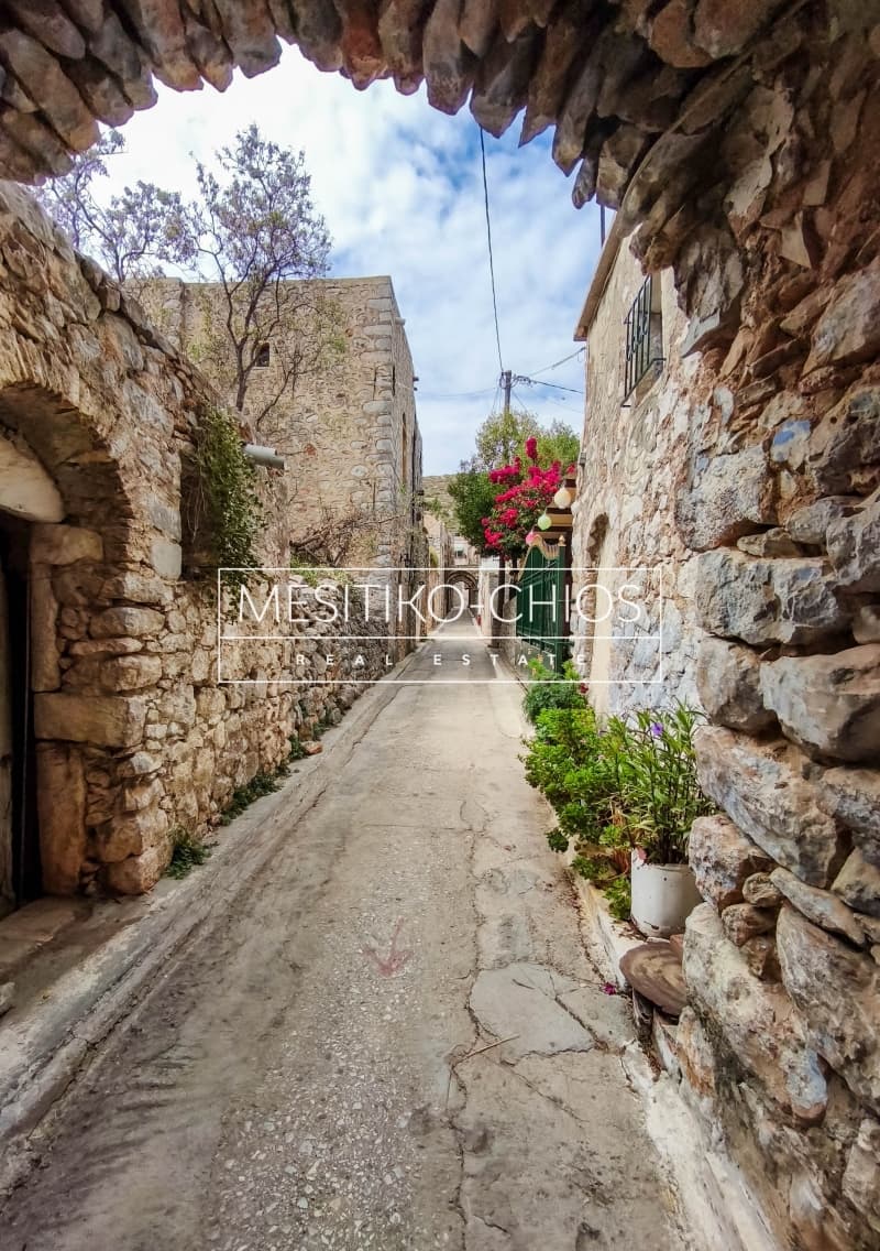 House in Mastichochoria, Chios — Photo 25 of 25