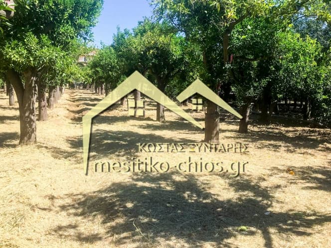 Οικόπεδο στην Καμποχώρια, Χίος — Φωτογραφία 5 από 6