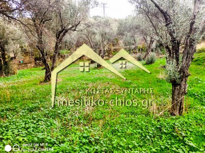 Οικόπεδο στην Άγιος Μηνάς, Χίος — Φωτογραφία 2 από 16