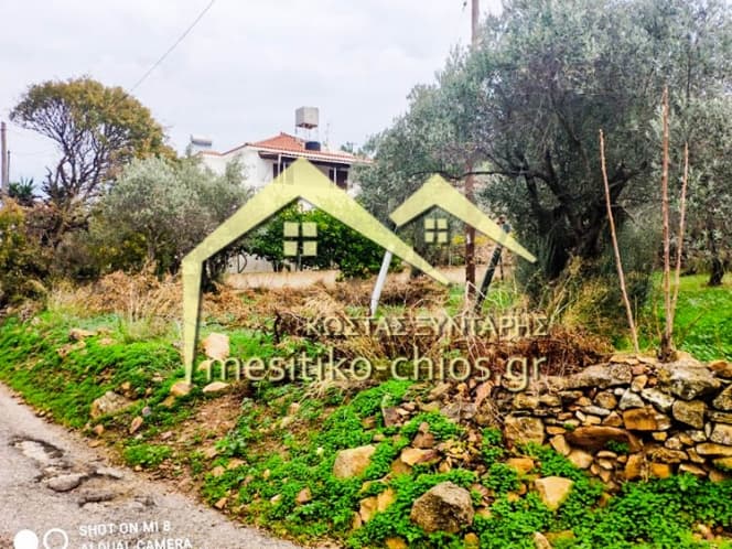Οικόπεδο στην Άγιος Μηνάς, Χίος — Φωτογραφία 5 από 16