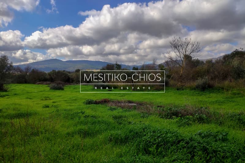 Οικόπεδο στην Άγιος Μηνάς, Χίος — Φωτογραφία 6 από 13