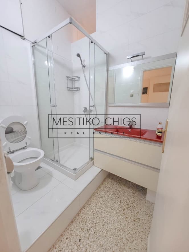 Διαμέρισμα στην Βόσπορος, Γουδή — Φωτογραφία 15 από 22