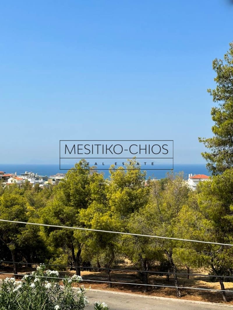 Μονοκατοικία στην Πανόραμα, Βούλα — Φωτογραφία 21 από 23