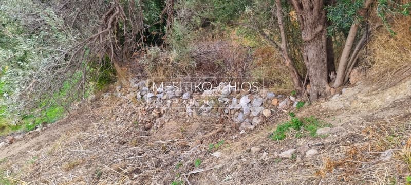 Οικόπεδο στην Πόλη Χίου, Χίος — Φωτογραφία 6 από 7
