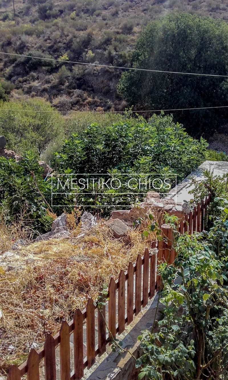 Οικόπεδο στην Αμάνη, Χίος — Φωτογραφία 10 από 18