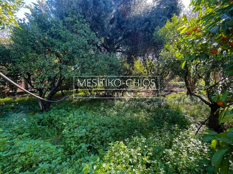 Οικόπεδο στην Πόλη Χίου, Χίος — Φωτογραφία 5 από 15
